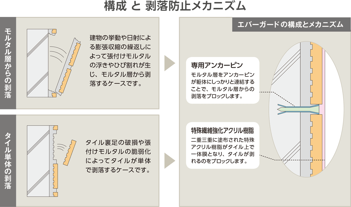 構成と剥落防止メカニズム